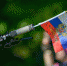 День флага РФ в округе отметят фото – кроссом, спортивными состязаниями и концертами - Администрация района